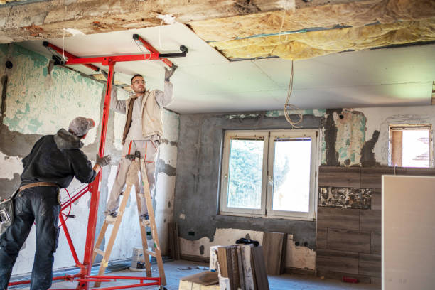 Best Insulation Installation Services in Powell, WY